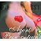 ���Ƒޔp�ƃG���e�B�V�Y�������D���Ȃ�c