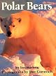 Polar Bears