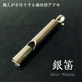 �V���o�[�z�C�b�X���y���_���g SV925 ��J