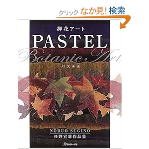 PASTEL�\���ԃA�[�g�����Y��i�W