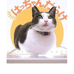 �͂�����񂾂炯