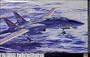 1/48F-14A �g���L���b�g (�����m���q��c)