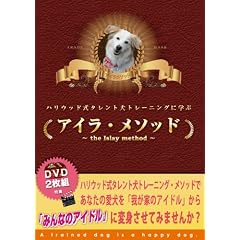 �n���E�b�h���^�����g���g���[�j���O�Ɋw�ԁu�A�C���E���\�b�h~the Islay method�v [DVD]
