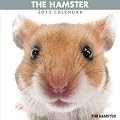 THE HAMSTER [2012�N �J�����_�[]
