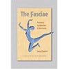 The Fasciae: Anatomy, Dysfunction and Treatment