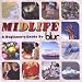 Midlife: A Beginner's Guide to Blur