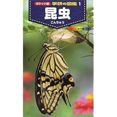 �|�P�b�g�� �w���̐}�Ӂq1�r���� (�w���̐}�� (1))