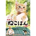 �f�� �˂��΂� [DVD]