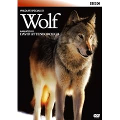 BBC ���C���h���C�t�E�X�y�V����II �I�I�J�~ [DVD]