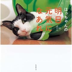 �͂������̖������C�ɂȂ���