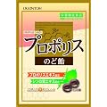 ������ �v���|���X�̂ǈ� 80g�~10��