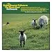 The String Quartet Tribute to the Beach Boys' Pet Sounds