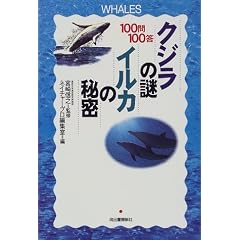 100��100�� �N�W���̓�E�C���J�̔閧