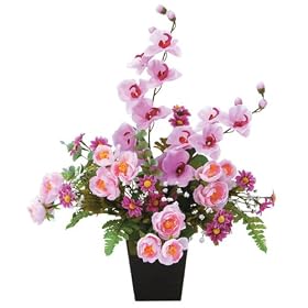 �؂₩�ŏ�i�ȋ�Ԃ����o�y���G�}�E���ԁz �R���[�_ �C������C�����t���b�V��