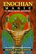 Enochian Magic: A Practical Manual (Llewellyn's high magick series)