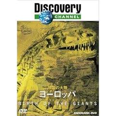 �f�B�X�J�o���[�`�����l�� �����̑嗤 ���[���b�p [DVD]