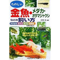 ���̂��������E���_�J�E�I�^�}�W���N�V�Ȃǂ̎������\�����Ȃ��T�J�i�ƒ��悵�ɂȂ낤