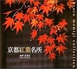 ���s�g�t���� (Suiko books (123))