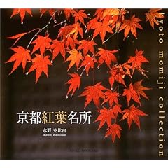 ���s�g�t���� (Suiko books (123))