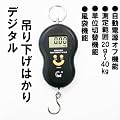 �f�W�^�����݂艺���͂��聙����͈�20g~40kg