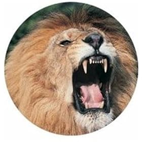 �A�j�}���wWild Life�s���C�I���t�x�X�e�b�J�[