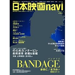 ���{�f��navi vol.19 (2009)�\TVnavi�v���X (NIKKO MOOK)