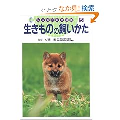 �������̂̎������� (�W���j�A���R�}��)