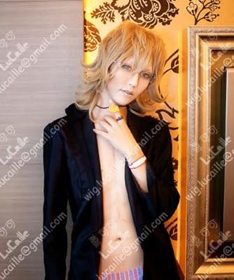 TIGER & BUNNY バーナビー・ブルックスJr 風 コスプレウィッグ +ウイッグネット