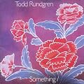 Something/Anything