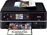 EPSON MultiPhoto Colorio �L���E����LAN�W������ �^�b�`�p�l���t�� �t�H�g�����@ 6�F�����C���N EP-901A