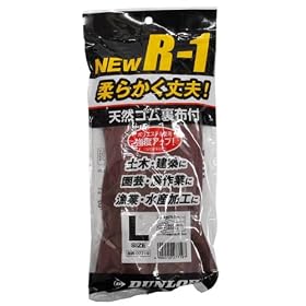 �j���[R-1 �V�R�S����� ���z�t L