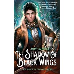The Shadow of Black Wings