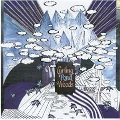 【クリックで詳細表示】Curling Pond Woods [12 inch Analog] [Import， from US]