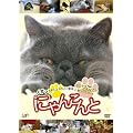 �ɂ�񂱂��~�������Ə΂���l�R�l�R���� �z���g�͂���Ȃ��ƌ����Ă��肵��~ [DVD]