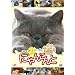�ɂ�񂱂��~�������Ə΂���l�R�l�R���� �z���g�͂���Ȃ��ƌ����Ă��肵��~ [DVD]