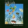 Natural History: The Very Best of Talk Talk (Pal)