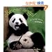 �q�p���_�悤������\chinese angel (SEISEISHA minibookseries)