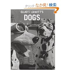 Elliott Erwitt's Dogs