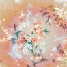 Bibio�̃A���o���̉摜