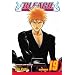 Bleach, Vol. 19 (Bleach (Graphic Novels))
