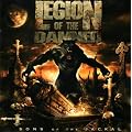 Sons of the Jackal (W/Dvd)