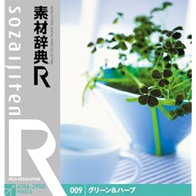 �f�ގ��T[R(�A�[��)] 009 �O���[��&�n�[�u