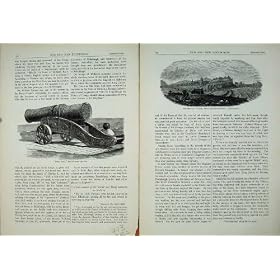 �G�W���o�� 1882 �̃����X Meg �L���m���̏�̓����̏o����