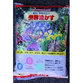���y�Ō`�������@2.5kg