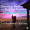 Brian Blade�Q����i�Q~�W���Y