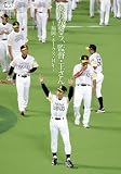 ���肪�Ƃ�,�ēE������~�����E�z�[�N�X�E14�N~ [DVD]