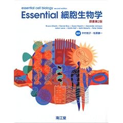 Essential�זE�����w ������2��