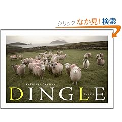 DINGLE-�f�B���O��-