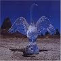 August Everywhere ~ Blinker The Star
