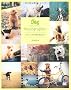 Dog Photographer ���킢�����̎ʐ^���B���{